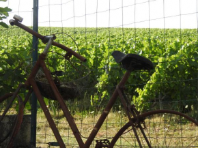 Au Coeur Des Vignes, Épernay